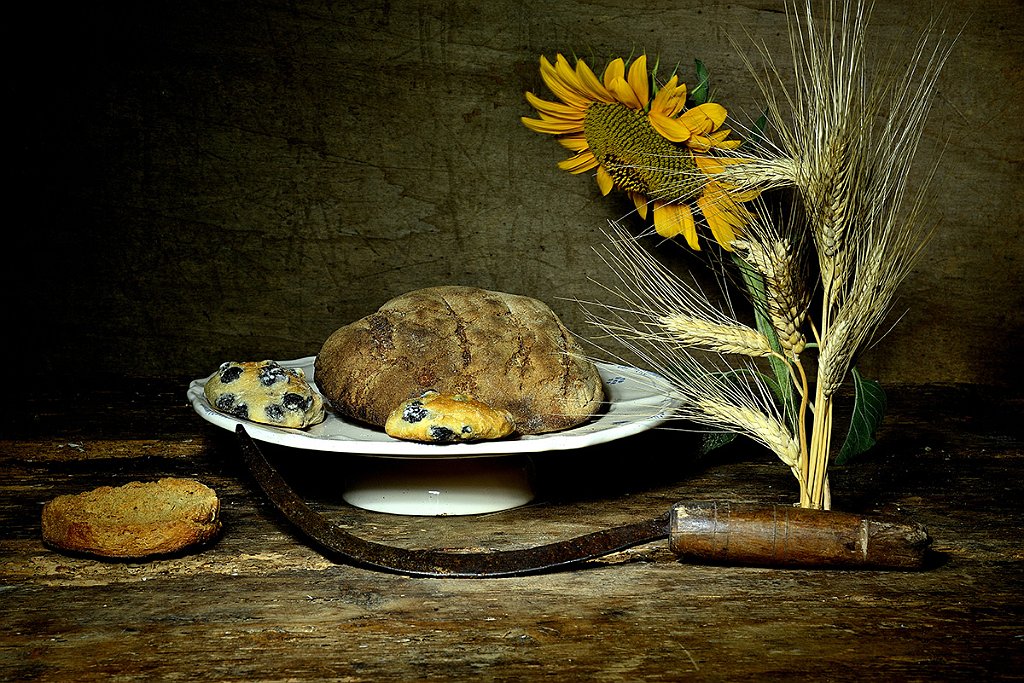 SPIRITO FERNANDO-SPIGHE PANE E GIRASOLE.jpg